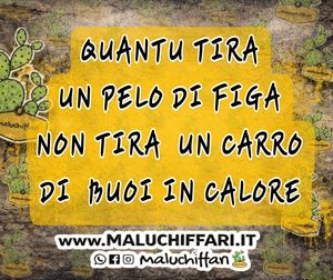 Image post by @maluchiffari on Instagram
