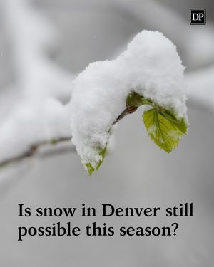 Image post by @denverpost on Instagram