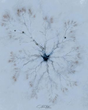 Image post by @droneartgallery on Instagram