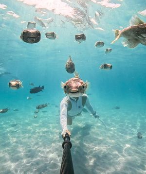 Image post by @gopro on Instagram