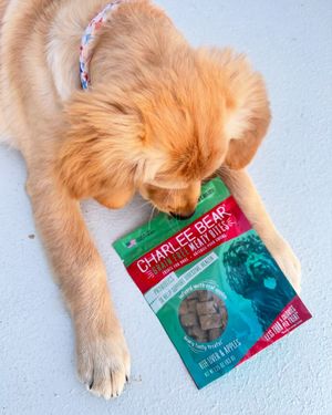 Image post by @charlee_bear_dogtreats on Instagram