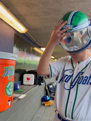 Image post by @hartfordyardgoats on Instagram