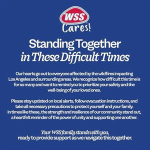Image post by @shopwss on Instagram