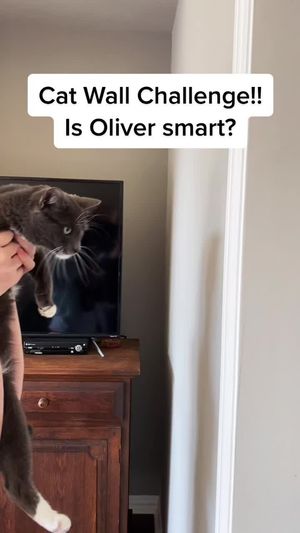 Video post by @livinglocurto on TikTok