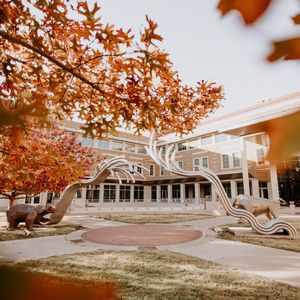 Image post by @tturawlscollege on Instagram
