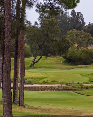 Image post by @glenelggolf on Instagram