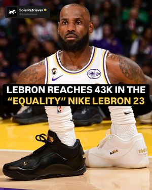 Image post by @soleretriever on Instagram