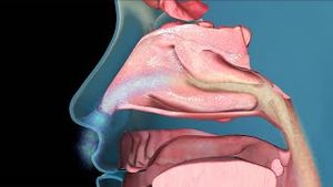 Video post by @nucleusmedicalmedia on YouTube