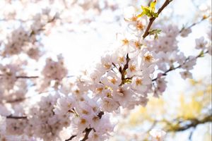 Image post by @katewangphoto on Instagram