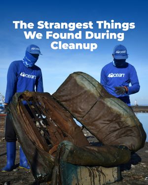 Image post by @4ocean on Instagram