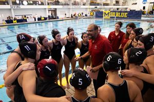 Image post by @harvardwopo on Instagram