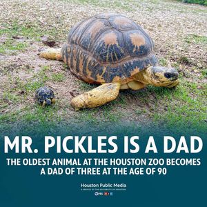 Image post by @houstonpubmedia on Instagram