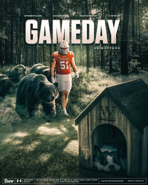 Image post by @MercerFootball on Twitter