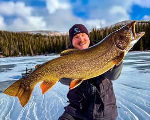 Image post by @scheelsoutdoors on Instagram