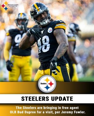 Image post by @steelersupdatecom on Instagram