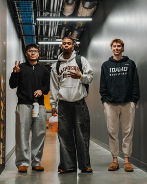 Image post by @vandalhoops on Instagram