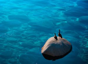 Image post by @fujifilmx_us on Instagram