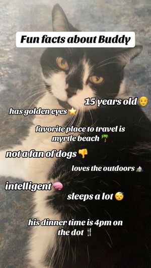 Video post by @buddyslife15 on TikTok