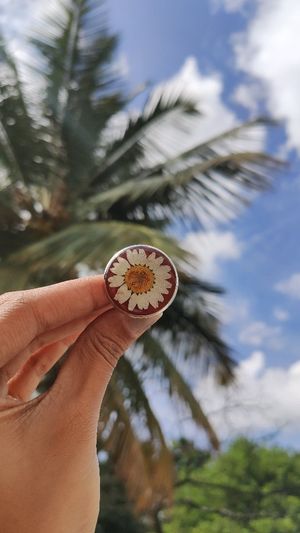 Video post by @leafyaffair on Instagram