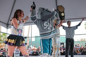 Image post by @sjbarracuda on Instagram