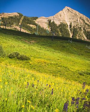 Image post by @skicrestedbutte on Instagram