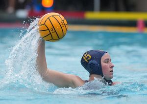 Image post by @calwwpolo on Instagram