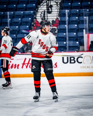 Image post by @ohlicedogs on Instagram