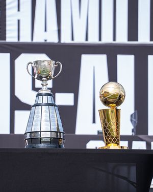 Image post by @hamiltontigercats on Instagram