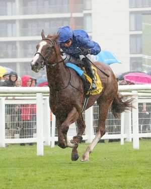 Image post by @godolphin on Instagram