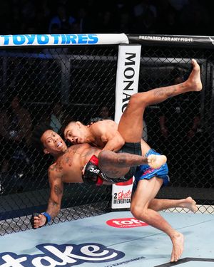 Image post by @ufcfra on Instagram