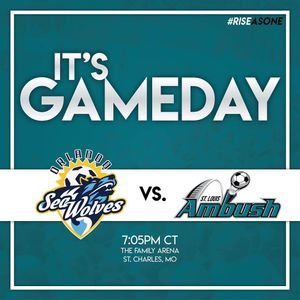 Image post by @stlouisambush on Instagram