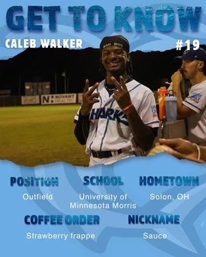 Image post by @ilmsharks on Instagram