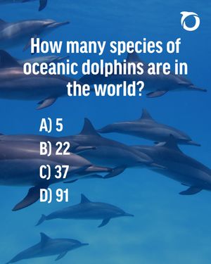Image post by @oceana on Instagram