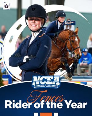 Image post by @auburnequestrian on Instagram
