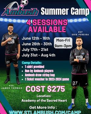 Image post by @stlouisambush on Instagram