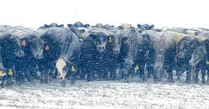 Image post by @txextension on Instagram