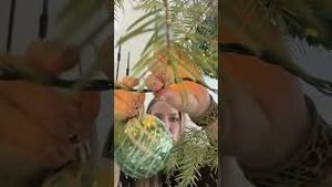 Video post by @denver8tv on YouTube