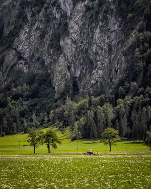 Image post by @cristan.nature.photography on Instagram