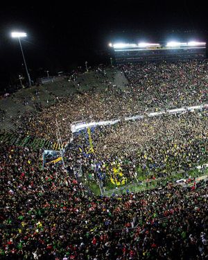 Image post by @goducks on Instagram