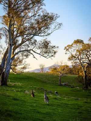 Image post by @visitmelbourne on Instagram