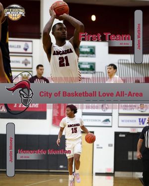 Image post by @arcadia_knights on Instagram