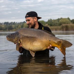 Image post by @brothercarp on Instagram
