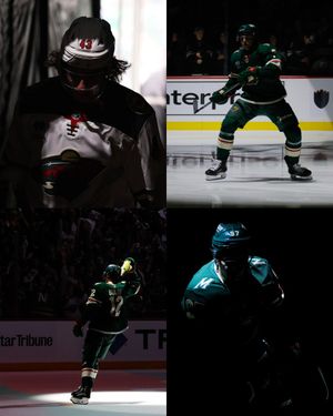 Image post by @mnwild on Twitter
