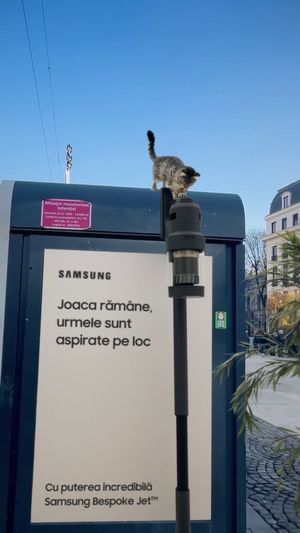 Image post by @samsungromania on Instagram
