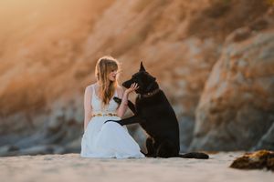 Image post by @sigmaphoto on Instagram