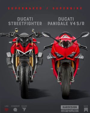 Image post by @panigalers on Instagram