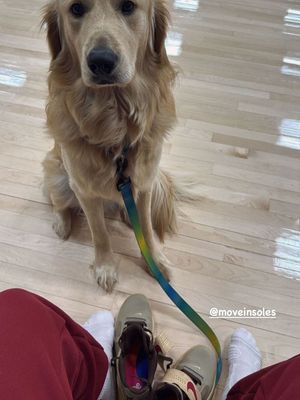 Image post by @moveinsoles on Instagram