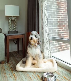 Image post by @embassysuitesgvilledt on Instagram