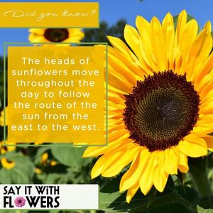 Image post by @sayitwithflowerspk on Facebook