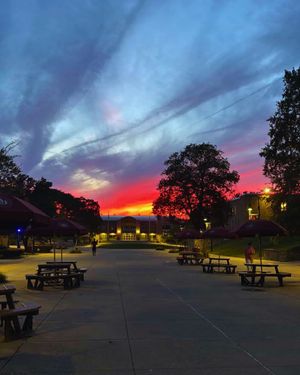 Image post by @rhodeislandcollege on Instagram